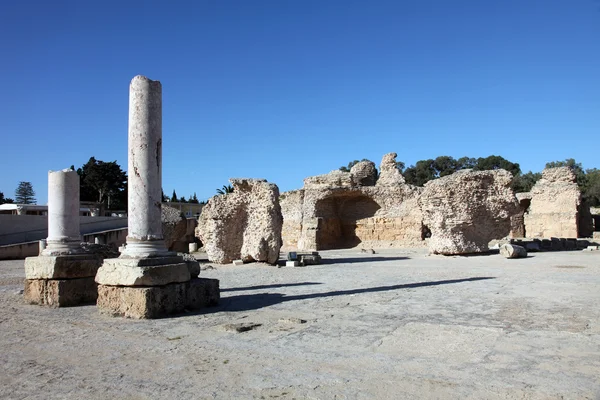 Tunisia. Ancient Carthage. The Antonine Baths — Stock Photo, Image