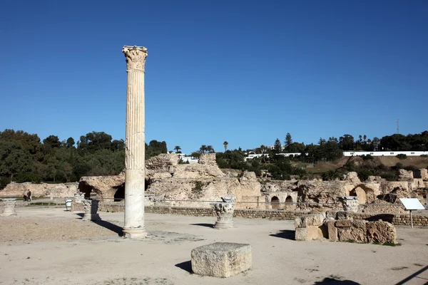 Tunesië. oude Carthago. de antonine Baden — Stockfoto