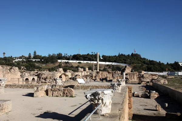 Tunisia. Antica Cartagine. Le Terme Antonine — Foto Stock