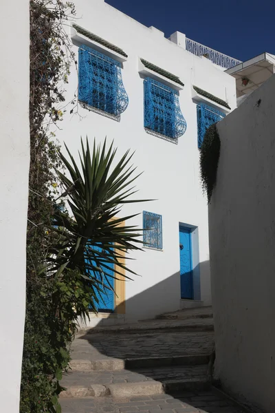 Sidi Bou Said - edifício típico com paredes brancas, portas azuis e janelas — Fotografia de Stock