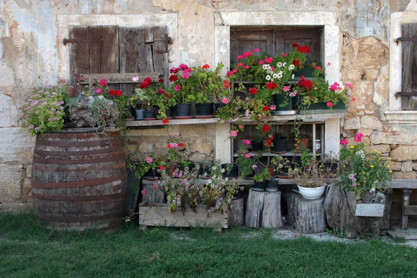 Oud huis met bloemen — Stockfoto