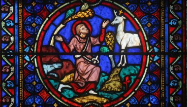 renkli vitray pencere Katedrali notre dame de paris