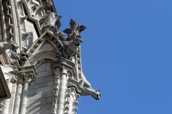 Die Wasserspeier der Kathedrale Notre Dame, Paris — Stockfoto
