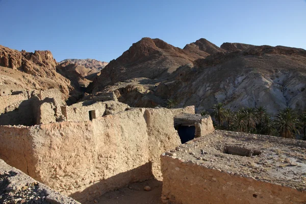 Dağ oasis chebika, Tunus kalıntıları — Stok fotoğraf