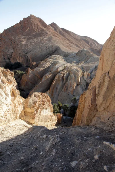 Oaza górska Chebika na granicy Sahary, Tunezja — Zdjęcie stockowe