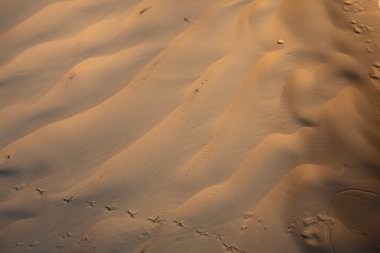 kum Sahara üzerinde Rüzgar dokular