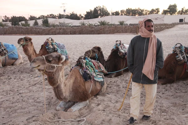 Mattina nel deserto del Sahara — Foto Stock