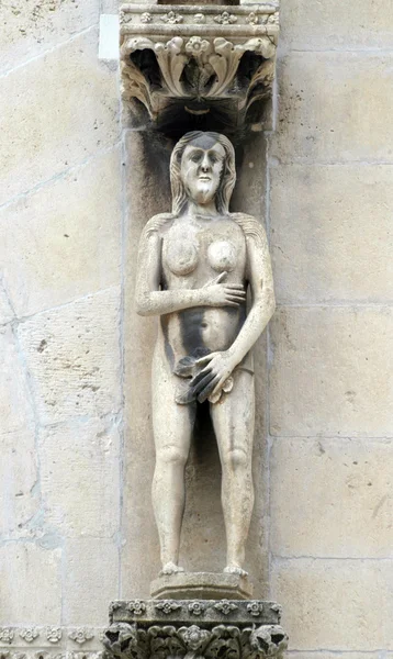 Eva, detalj av katedralen st. james, sibenik — Stockfoto