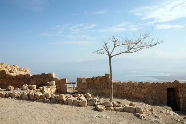 マサダ要塞、ユダヤ砂漠、イスラエル — ストック写真