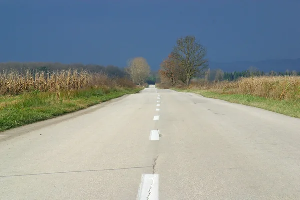 Empty road in autumn day between meadows and fields — Stock Photo, Image