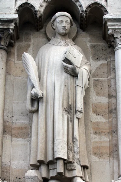 Svatý Štěpán, katedrála notre dame, Paříž — Stock fotografie