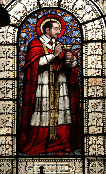 Saint Charles Borromeo — Fotografie, imagine de stoc