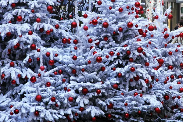 Рождественская елка на улицах Парижа — стоковое фото