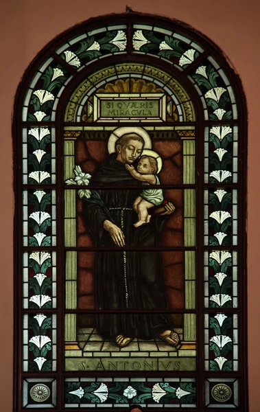 Saint Anthony av Padua — Stockfoto