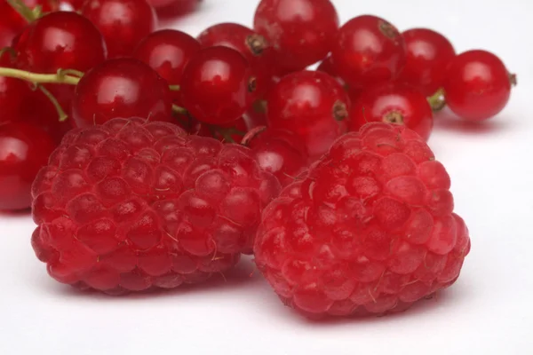 Fresh berries — Stock Photo, Image