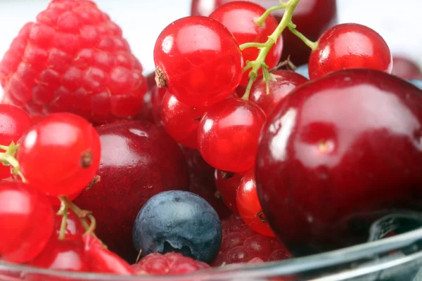 Frische Beeren — Stockfoto