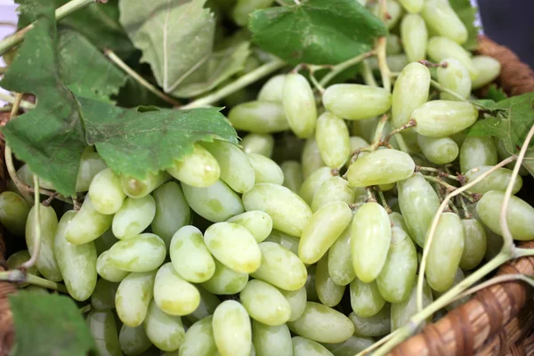 Aglomerado de uvas — Fotografia de Stock