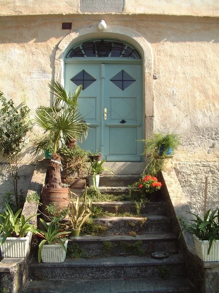 Вход с зеленой дверью и цветком — стоковое фото