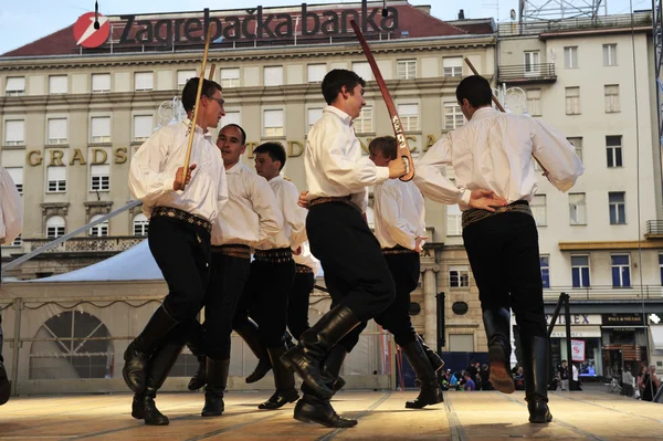 Členové folkové skupiny domizan v český kroj — Stock fotografie