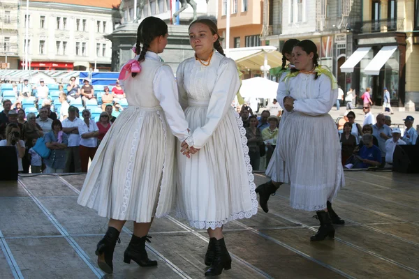 Miembros de grupos populares Sloga de Veliko Trgovisce en Croacia traje nacional —  Fotos de Stock