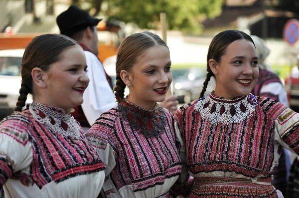 Membres de groupes folkloriques de Bistra en Croatie costume national — Photo
