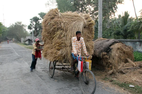 Rickshaw rider transports rice from the farm home — Stock Photo, Image