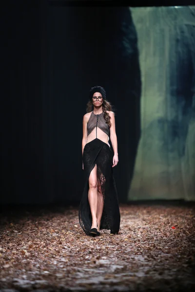Modelo de moda vestindo roupas projetadas por Linea Exclusive no Cro um show Porter — Fotografia de Stock