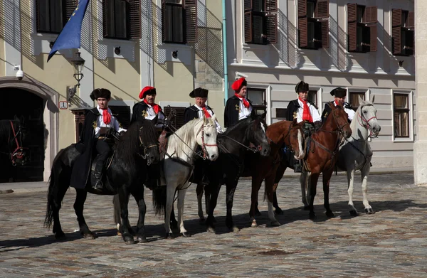 Cravat regiment tijdens een ceremonie vieren de dag stropdas — Stockfoto
