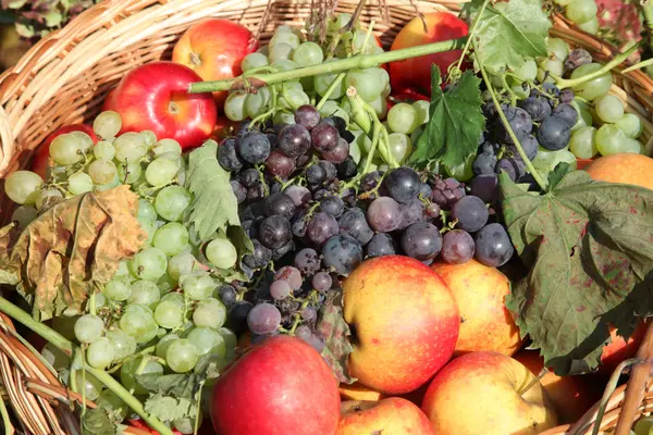 Äpfel und Trauben in einem Korb — Stockfoto