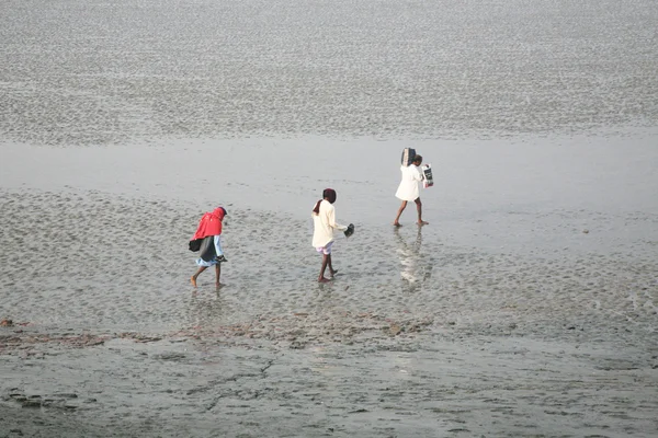 Düşük gelgit sırasında insanlar diğer kıyıya kentindeki Hindistan konserve içinde yürümek çok düşük su Nehri Malta düşüyor — Stok fotoğraf