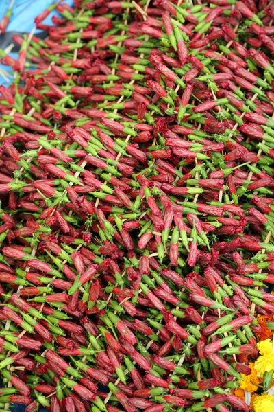 Mercado de flores, Kolkata, Índia — Fotografia de Stock