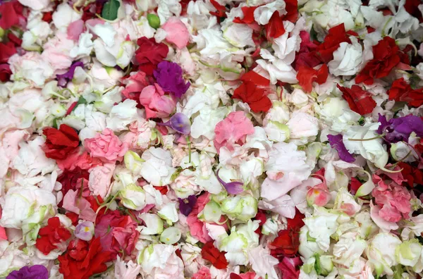 Blumenmarkt, Kolkata, Indien — Stockfoto