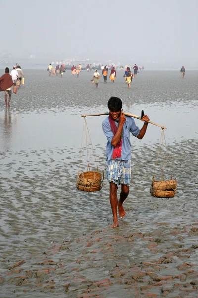 Signal of mobile phone covers and most remote parts of the Sundarbans jungles, West Bengal, India — Stock Photo, Image