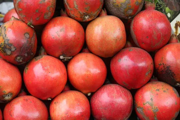 Pomegranate — Stock Photo, Image