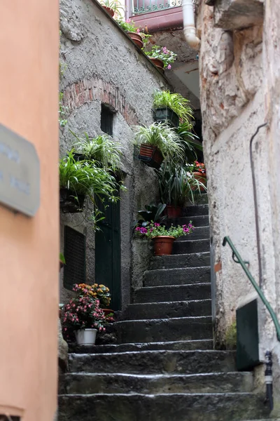 Die Engen Gassen Und Treppen Dem Kleinen Dorf Riomaggiore Cinque — Stockfoto
