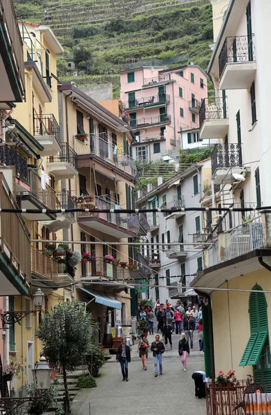 Manarola, one of the Cinque Terre villages, Italy — Stock Photo, Image