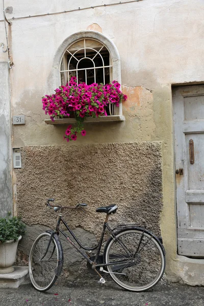 Bicycle and flowers — Stock Photo, Image