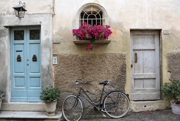 Fahrrad und Blumen — Stockfoto