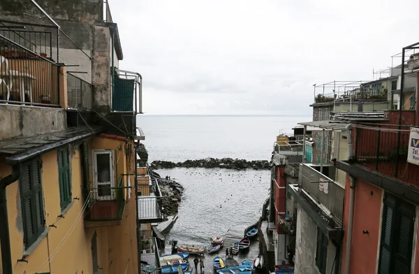 Riomaggiore, italien — Stockfoto