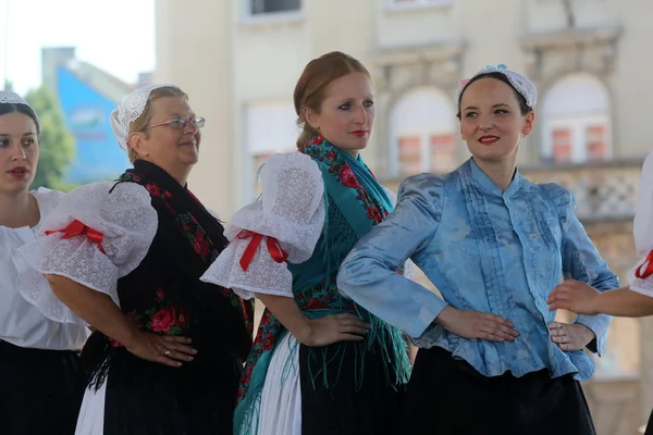 Medlemmar i grupper folk veseli medimurci från Kroatien under 48 internationell folklore festival i centrum av zagreb, Kroatien på 16 juli 2014 — Stockfoto