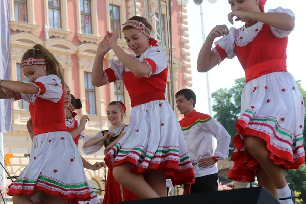 モスクワ, ロシア連邦センターのザグレブ、クロアチアの第 48 国際民俗祭の間にグループの民族のメンバー — ストック写真