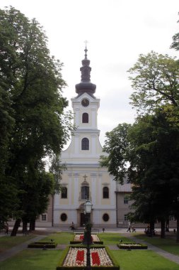 Hırvatistan 'ın Bjelovar kentinde Avila' lı Aziz Teresa Katedrali