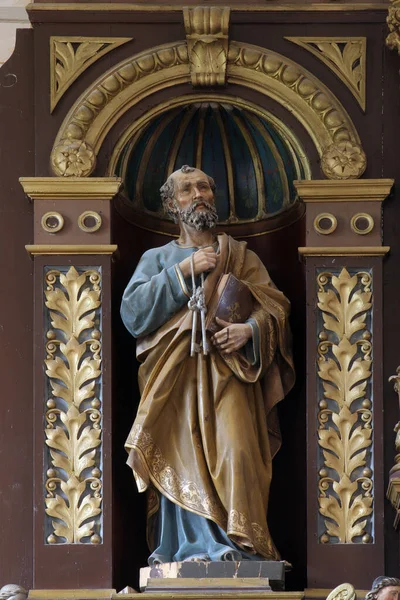 Saint Pierre Autel Principal Dans Église Saint Martin Breznicki Hum — Photo