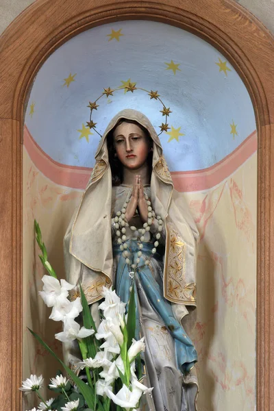 Virgen María Reina Del Santo Rosario Iglesia San Martín Breznicki — Foto de Stock