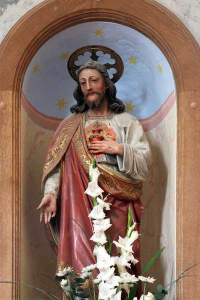 Sagrado Corazón Jesús Iglesia San Martín Breznicki Hum Croacia — Foto de Stock