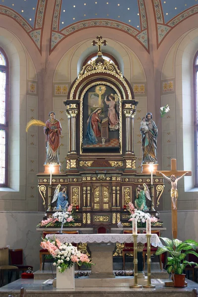 克罗地亚Velika Gorica圣母升天教区教堂的主祭坛 — 图库照片