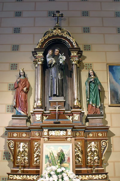 Altar Santo Antônio Pádua Igreja Paroquial Anunciação Virgem Maria Velika — Fotografia de Stock