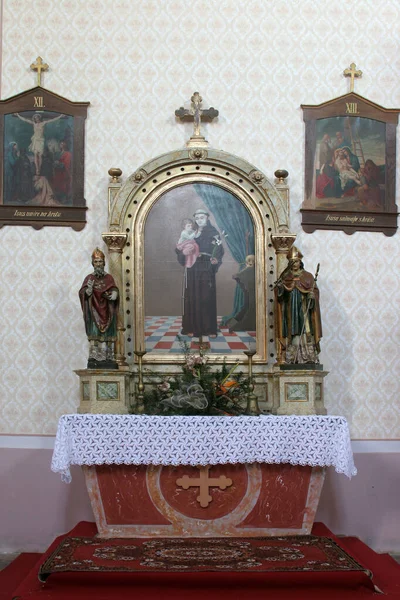 Santo Antônio Pádua Altar Igreja Santa Bárbara Carevdar Croácia — Fotografia de Stock