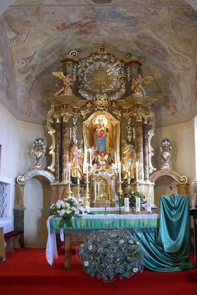 Ołtarz Główny Kościele Nawiedzenia Najświętszej Marii Panny Vinagora Chorwacja — Zdjęcie stockowe