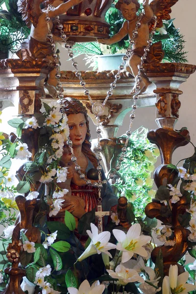 Hırvatistan Vinagora Kentinde Bakire Meryem Kilisesi Nde Bebek Heykeliyle Bakire — Stok fotoğraf